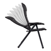 Crespo 2 x luxe stoelen